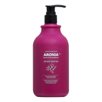Шампунь для окрашенных волос Арония Institute-beauty Aronia Color Protection Shampoo, 500 ml