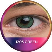 Дымчатые линзы с чёрным краем Green J206